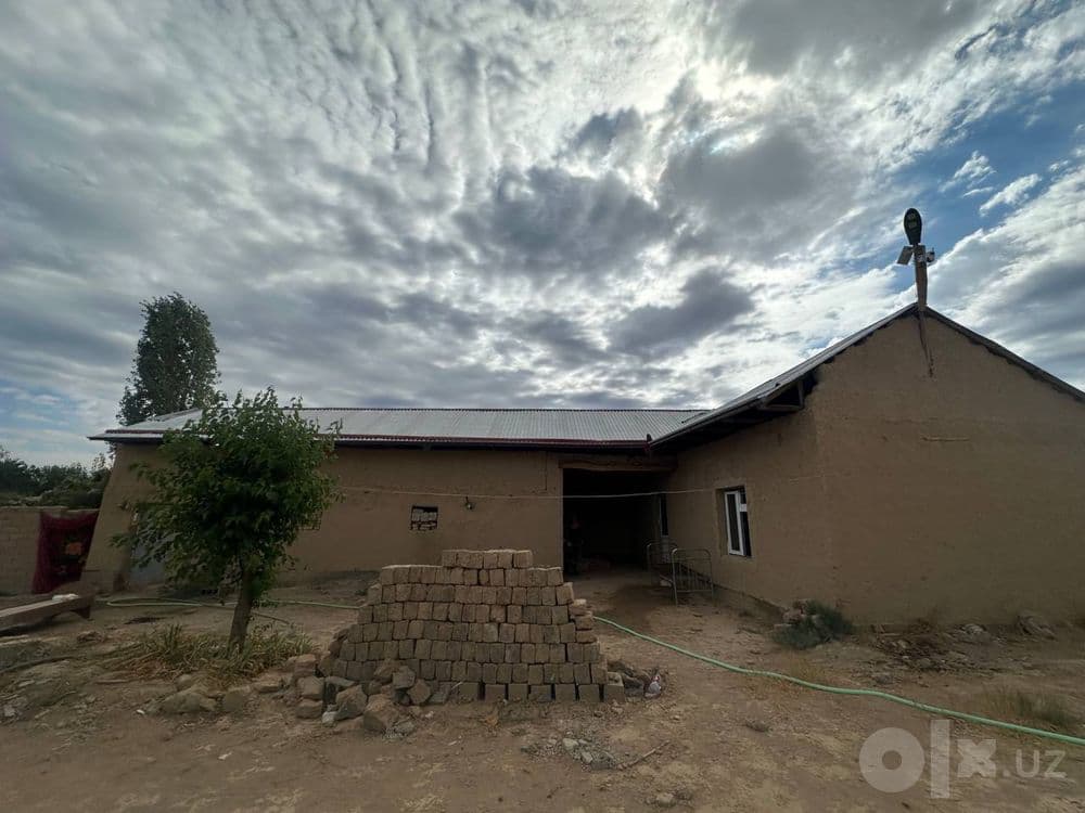 Dala hovli ijaraga, Arenda — 1