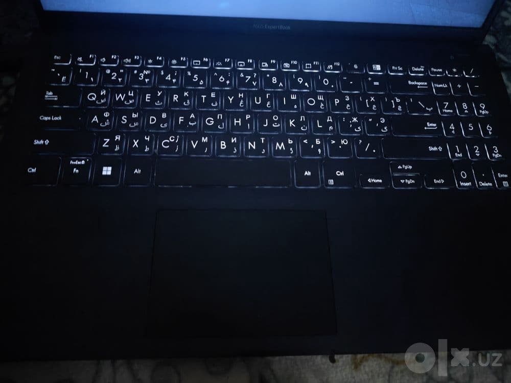 Asus expertbook (srochni) — 7