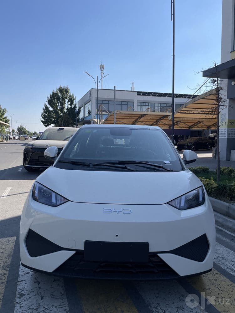BYD SEAGULL — ZAMONAVIY dizayn ixchamlik va elektr quvvati bit moshina — 1