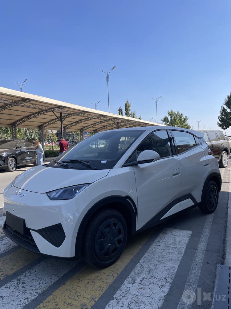 BYD SEAGULL — ZAMONAVIY dizayn ixchamlik va elektr quvvati bit moshina — 2