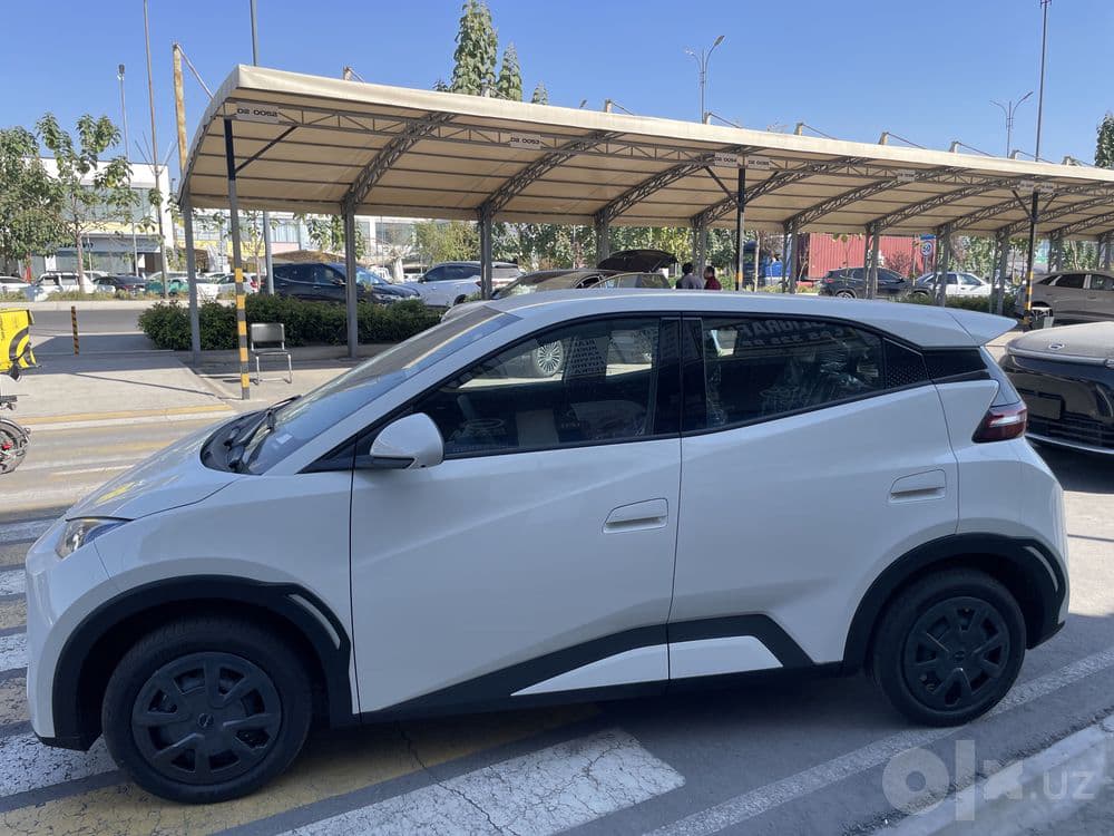 BYD SEAGULL — ZAMONAVIY dizayn ixchamlik va elektr quvvati bit moshina — 6