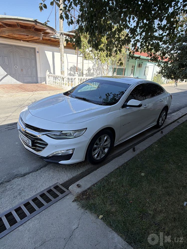 Malibu Primer. 2021 yil. — 1