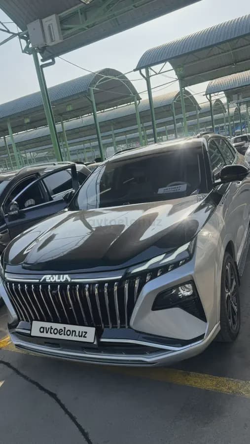 Dong Feng ER30 2024 — 2