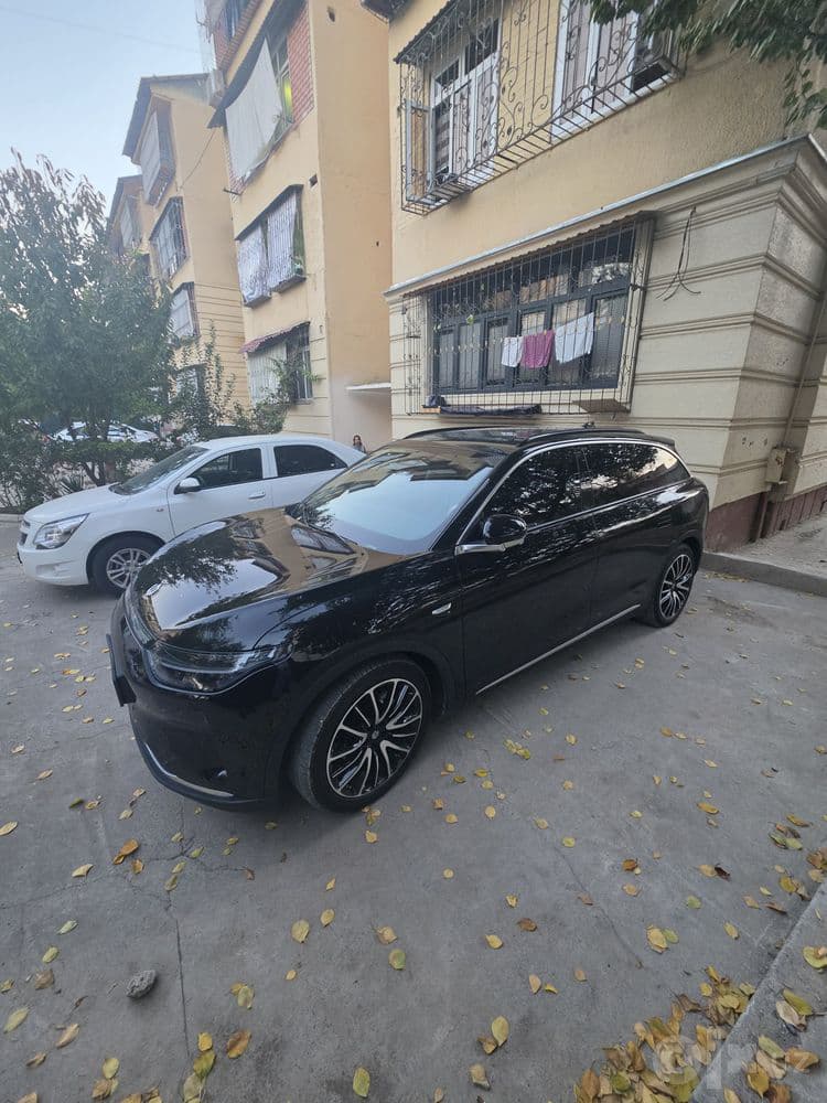 Elektr Leapmotir C11 — 2