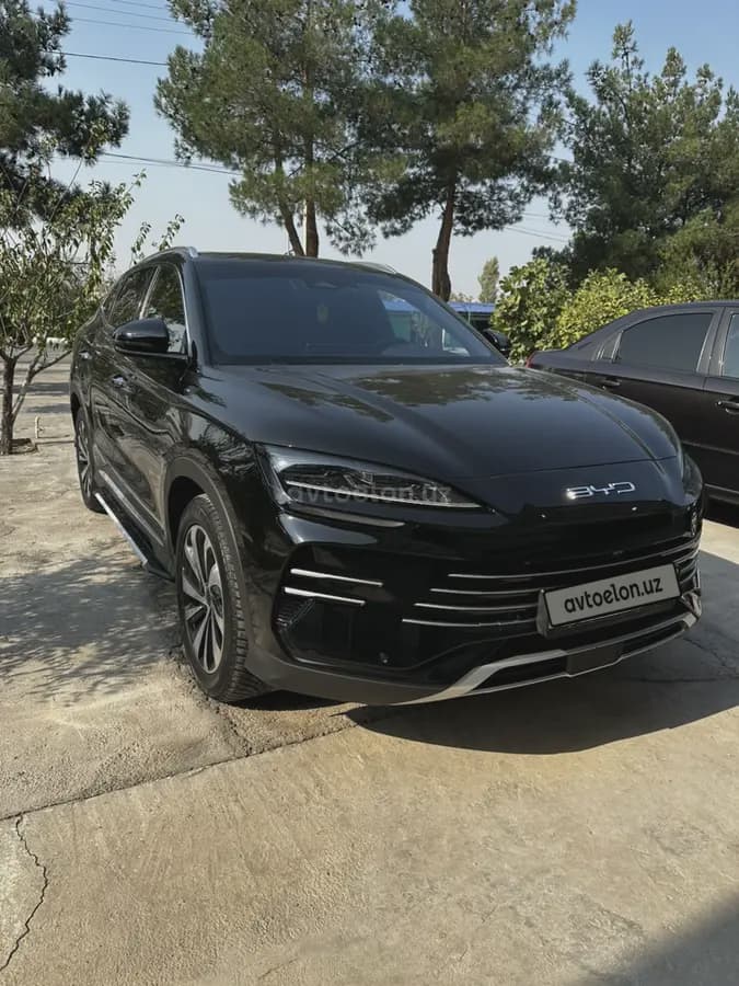 BYD Song Plus DM-i Champion 2024 — 2