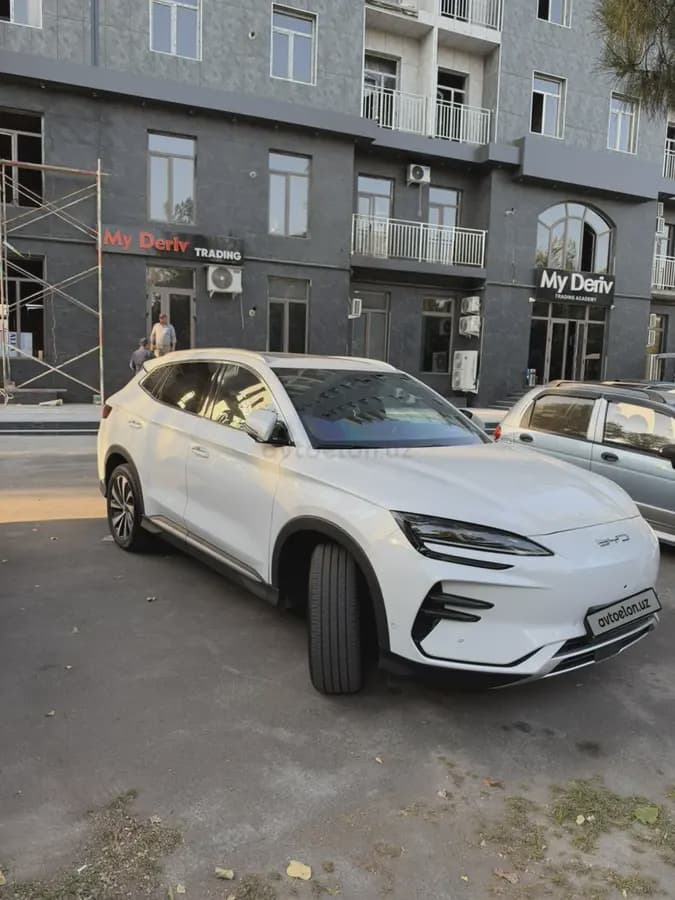 BYD Song Plus EV Champion 2023 — 2