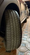 R19 balon summax byd eqiunox