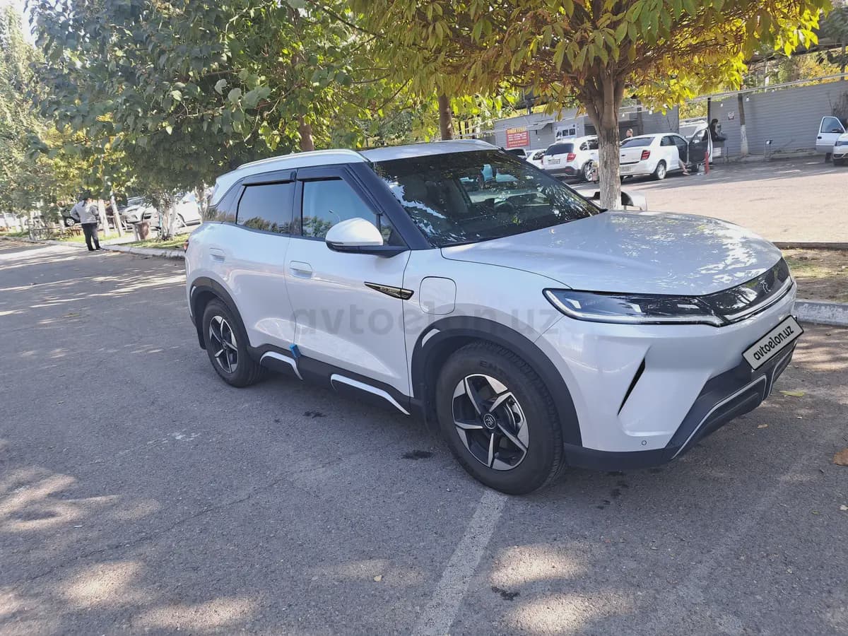 BYD Yuan UP 2024 — 2