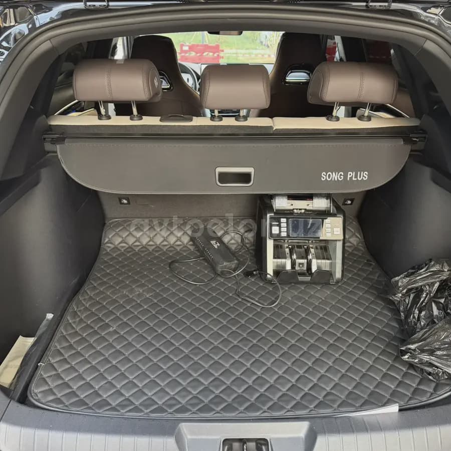 BYD Song Plus EV Champion 2025 — 4