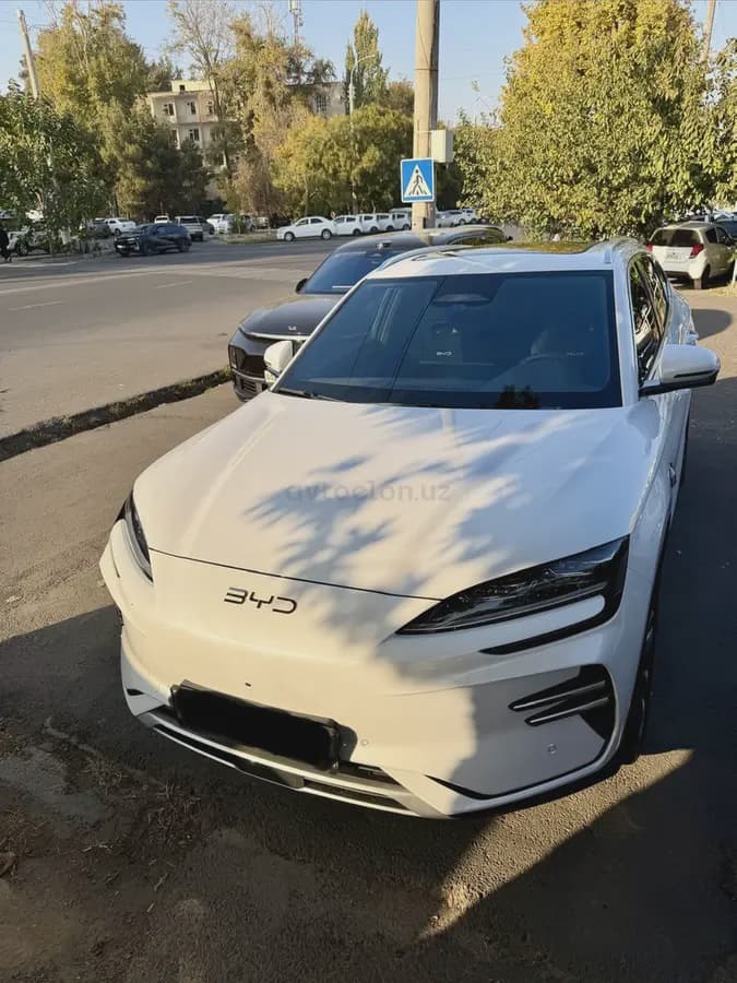 BYD Song Plus EV Champion 2025 — 5