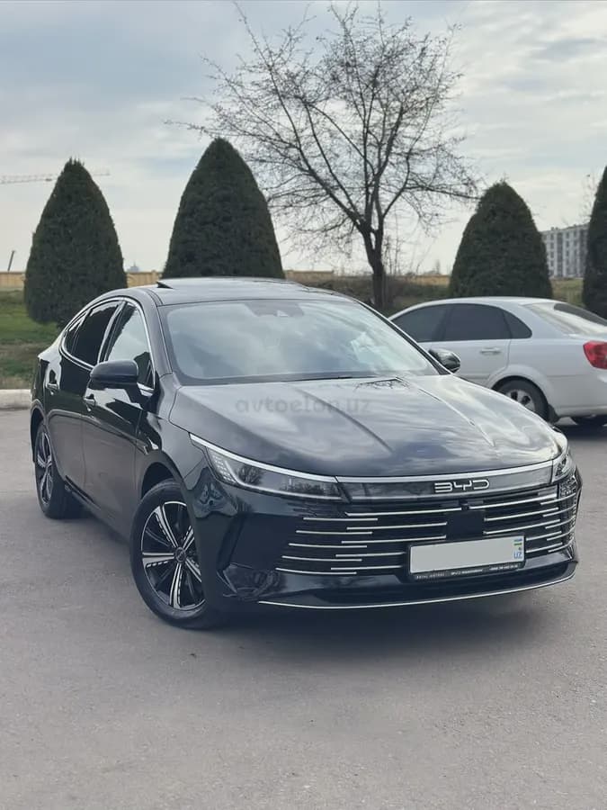 BYD Chazor 2025 — 1
