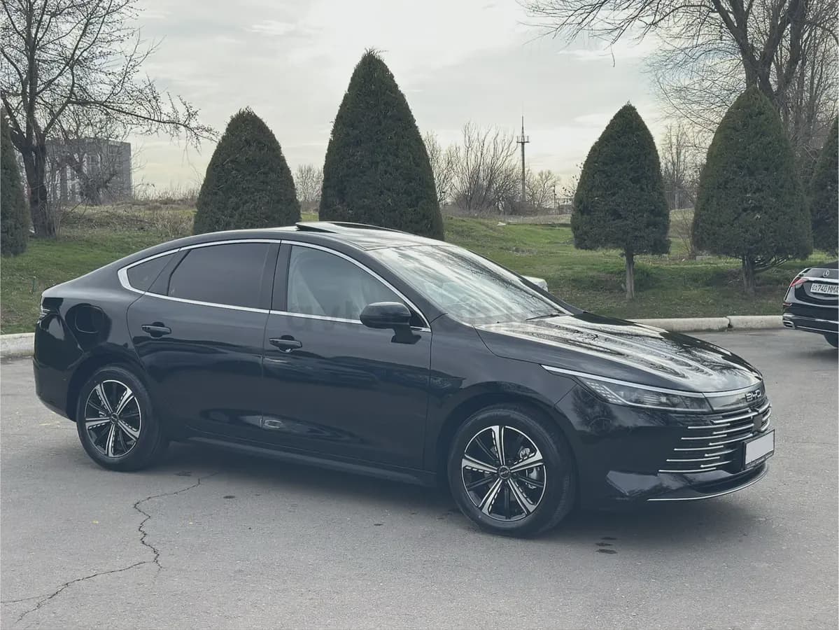 BYD Chazor 2025 — 3