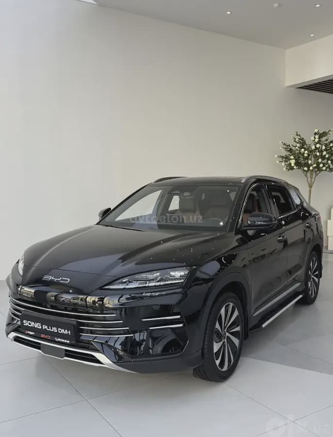 BYD Song Plus DM-i Champion 2025 — 1