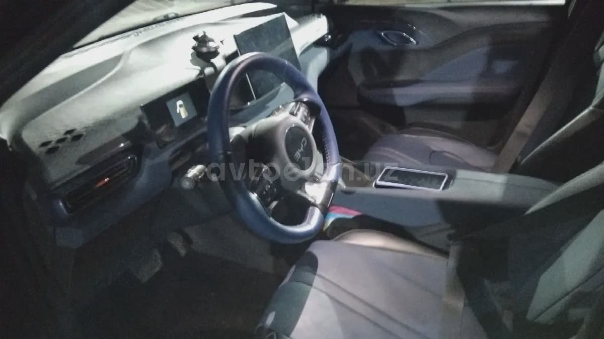 BYD Seagull 2025 — 2
