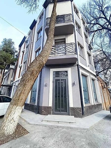 Продается отдельно стоящие здание с арендатором! Дархан первая линия! — 1