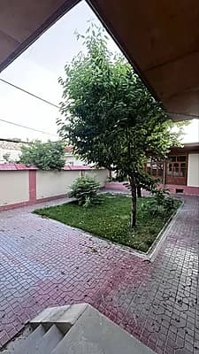 Arenda sagbon hovli ijaraga — 1