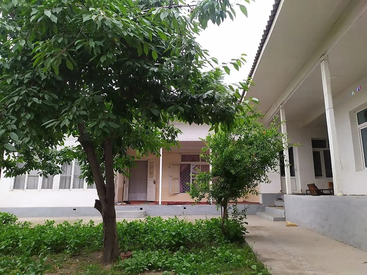 Hovli Olmazor tumani, Rag‘az ko‘cha