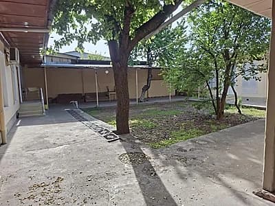 Arenda qorasaroy — 1