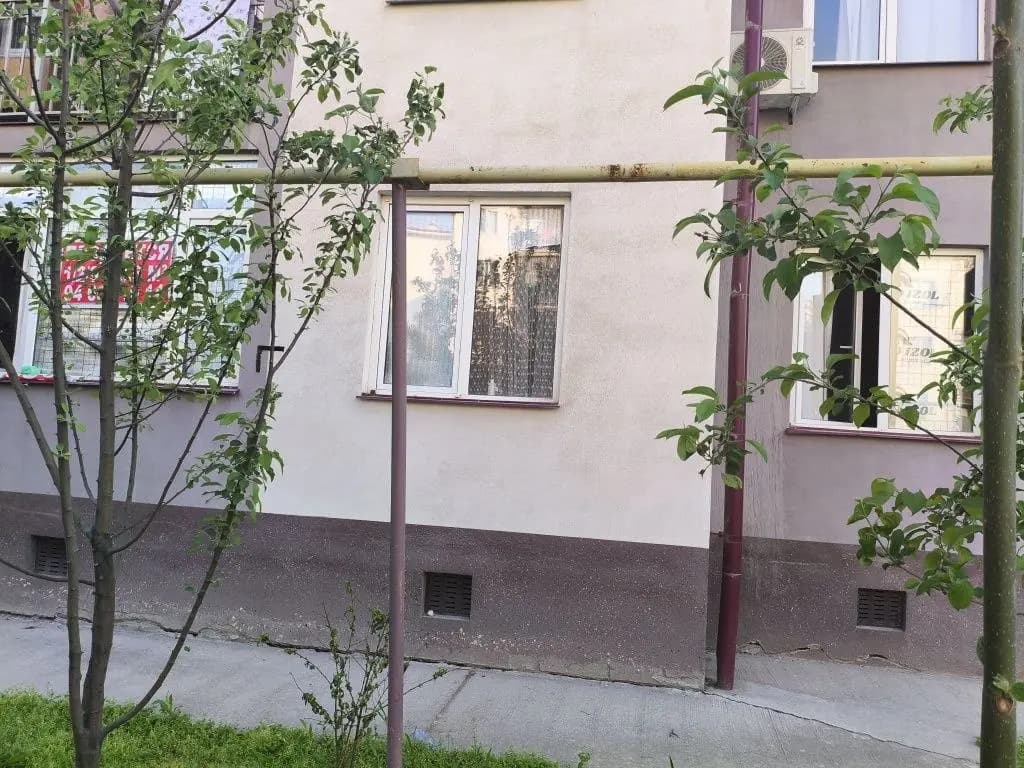 Sergeli choshtepa — 1