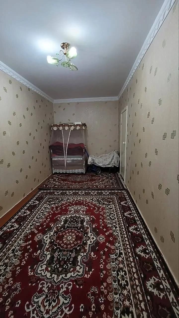 2 хонали Кора Камыш 1/3. Аренда