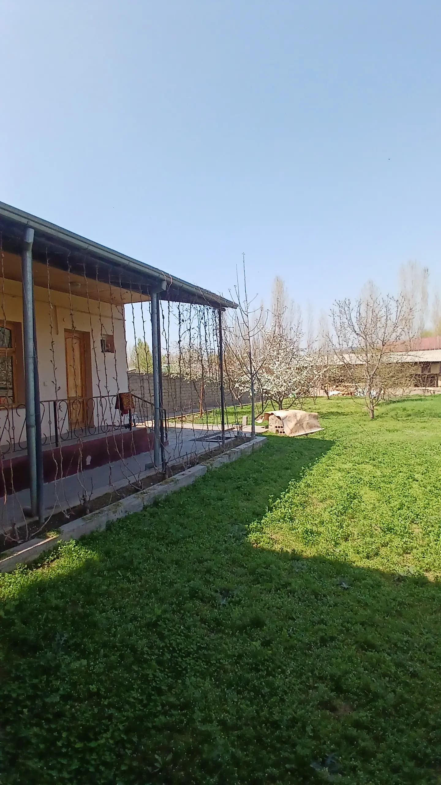 Участка сотилади зангиота 10 сотик 19900 дан — 1