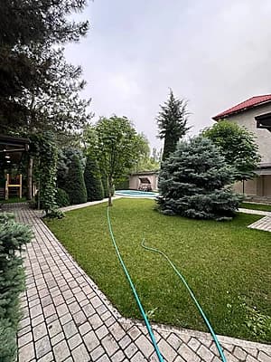 Qbray botanika — 1