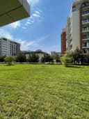 Gardens 3/1/8 #a