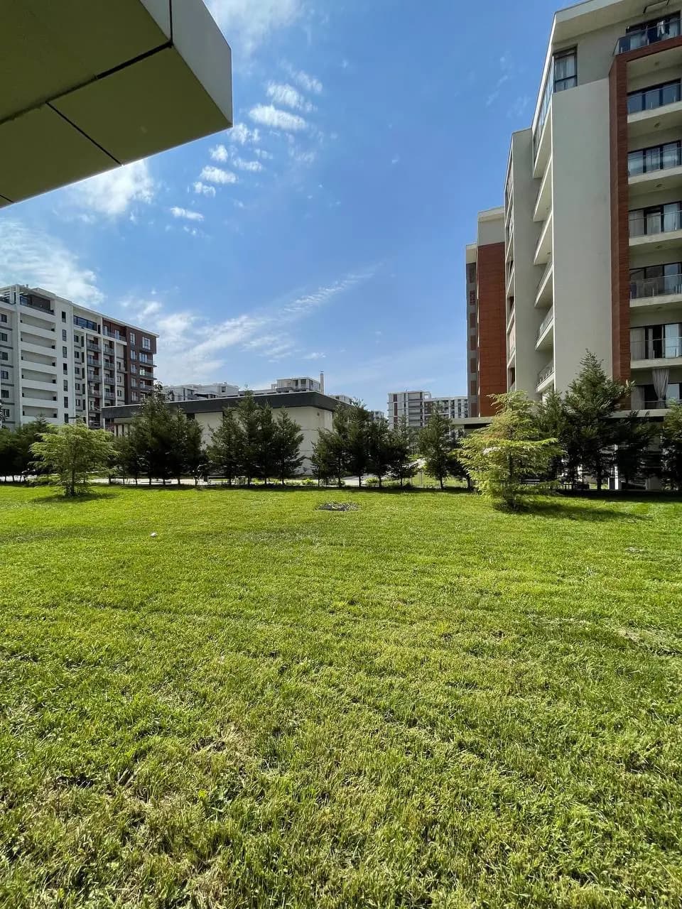 Gardens 3/1/8 #a — 1