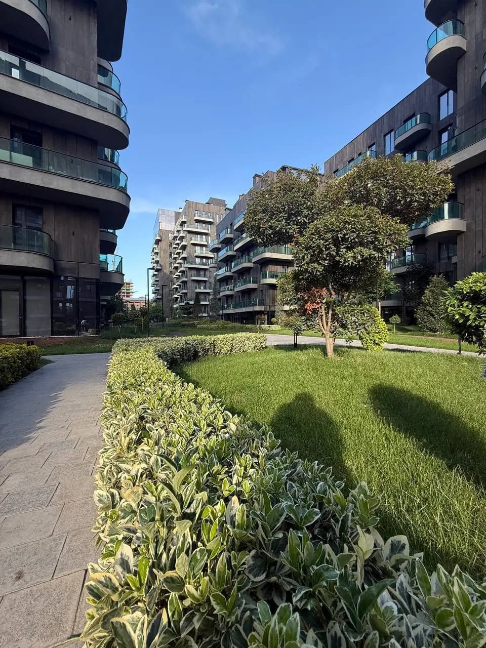 Parkwood 2/10/12 #a — 1