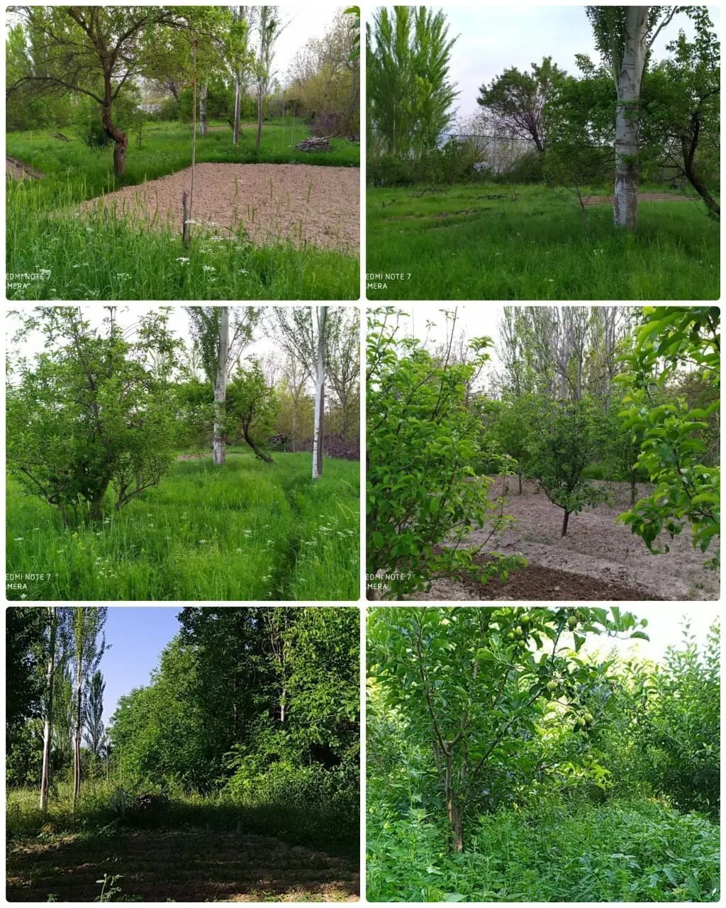 Ер майдони сотилади — 1