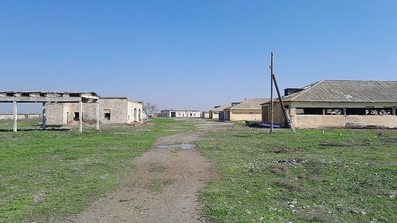 Yer 4.7 gektar jizzah tumani manas qishlogi