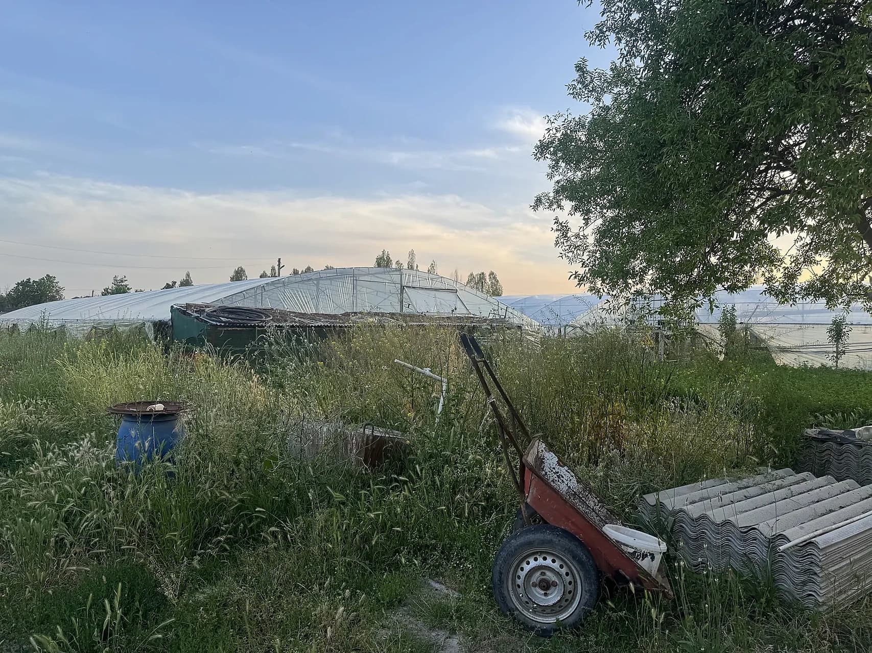 Ortasaroyda yer sotiladi 48 sotix 6 sotixdanam bolip sotamz hozir teplitsa qip qoyilgan obod mahallaga tushgan