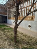 Продается 3,5 соток дом в махалле Маданият, от поста Учкахрамона 8 км.