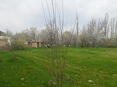 Дом 12 сотых продается — 1