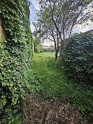 Anorzor 5 sotix 2ta oila uchun kotedj qursa bo'ladi — 1