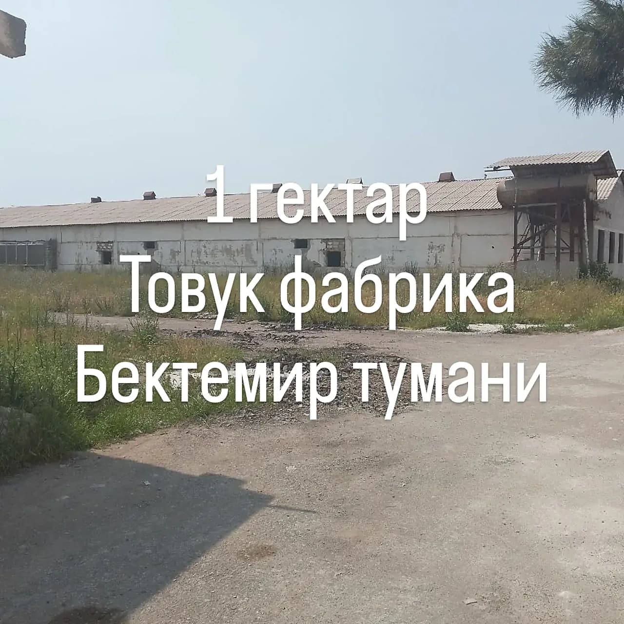 1 гектар Товук фабрика Бектемир тумани — 1