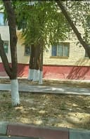 Yalangach 1/1/4 #A