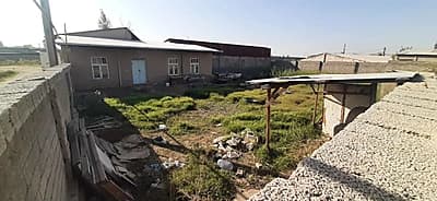 Dala hovli sotiladi. 6 sotix, 20×30 to‘rt burchak. Nazarbek tarnovdan kirganda. Sotigi 8000 — 1