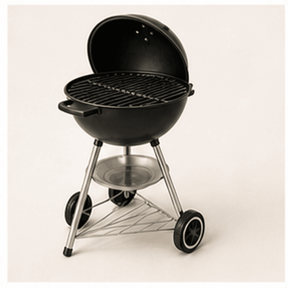 Grill va barbekyu