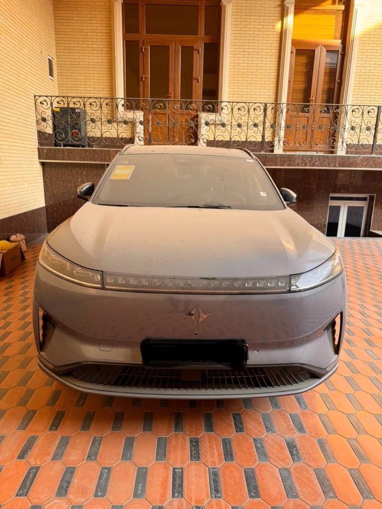 Dongfeng EP 008 2025 — 1