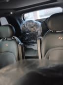 Dongfeng EP 008 2025