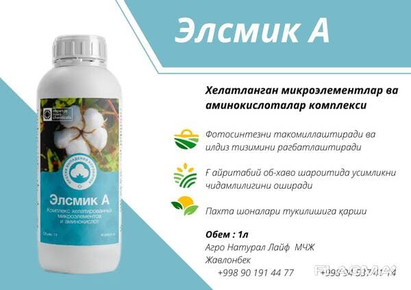 Элсмик А — 1