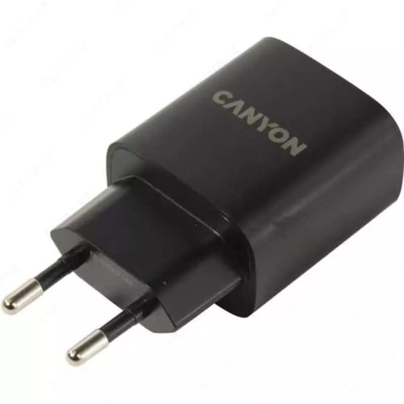 Сетевое зарядное устройство Canyon H20 — 1