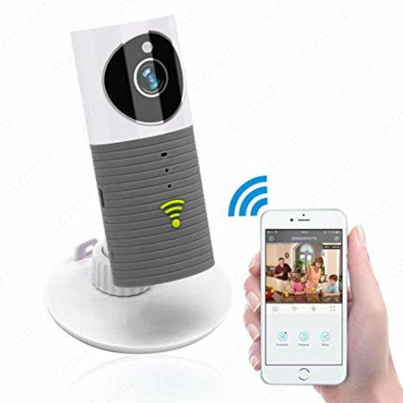 WI-FI КАМЕРА CLEVER DOG, WI-FI, P2P — 1