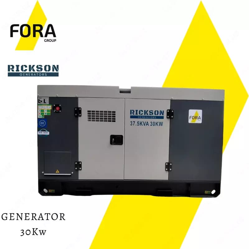 Генератор дизельный RICKSON 30 KW — 1