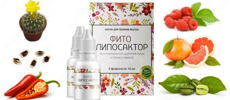 Фитолипосактор живота — 1