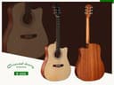 Акустическая гитара Oriental Cherry W-520S