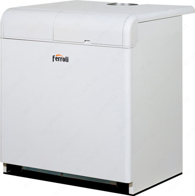 Газовые котлы Ferroli Pegasus 97 2S — 1