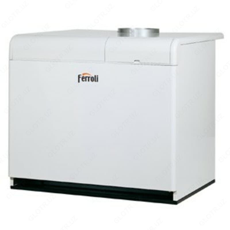 Газовые котлы Ferroli Pegasus 119LN 2S — 1