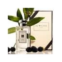 Blackberry & Bay Jo Malone London 100ml (Original)